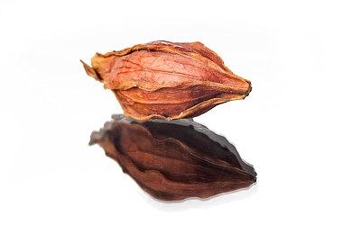 生存模拟《中世纪王朝》新多人合作模式和地图现已登陆主机平台